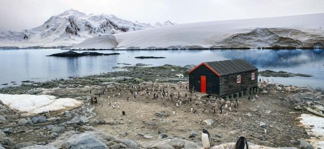 Things To Think About Before Traveling To Antarctica